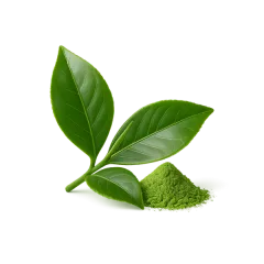 Green tea extract