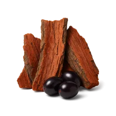 Pygeum africanum bark